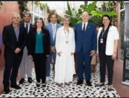 Vera Alexandropoulou, Vice-President of Thalassa Foundation, at the United Nations Ocean Conference #UNOC3 in Nice