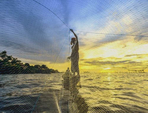 Key Upcoming Events for Women in Ocean Governance and the Blue Economy